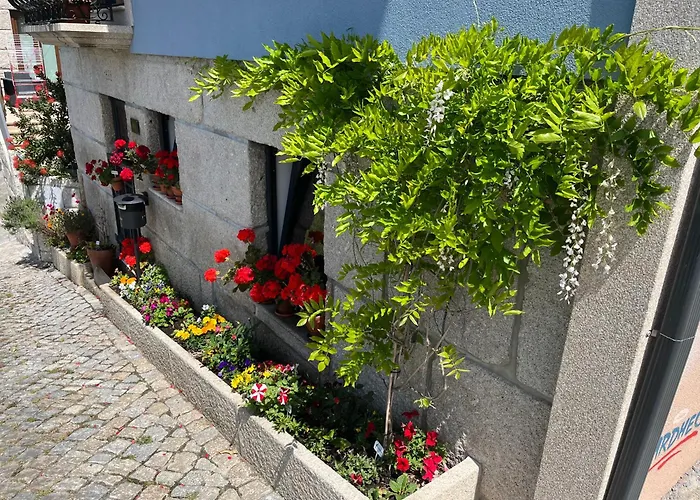 Сasa de vacaciones Dourobluehouse Marco de Canavezes